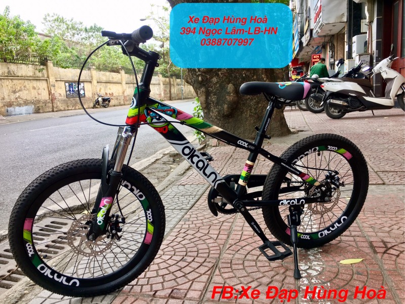 Phân phối Xe Đạp Trẻ Em Cao Cấp Dklan 20Inch