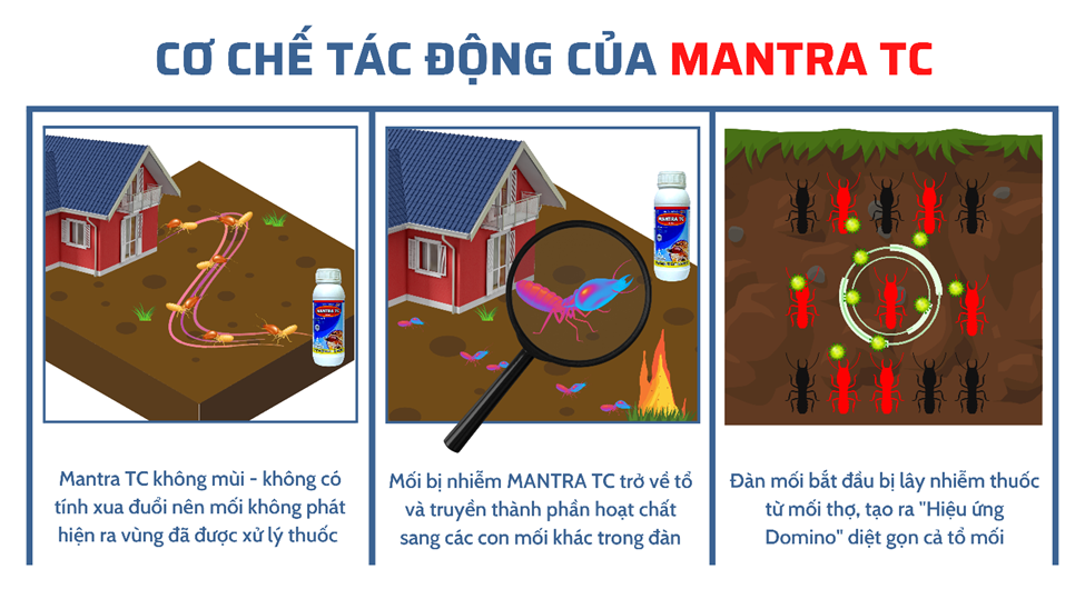 Thuốc diệt Mối MANTRA TC 305 SC - chai 50ml (Nhập Khẩu)