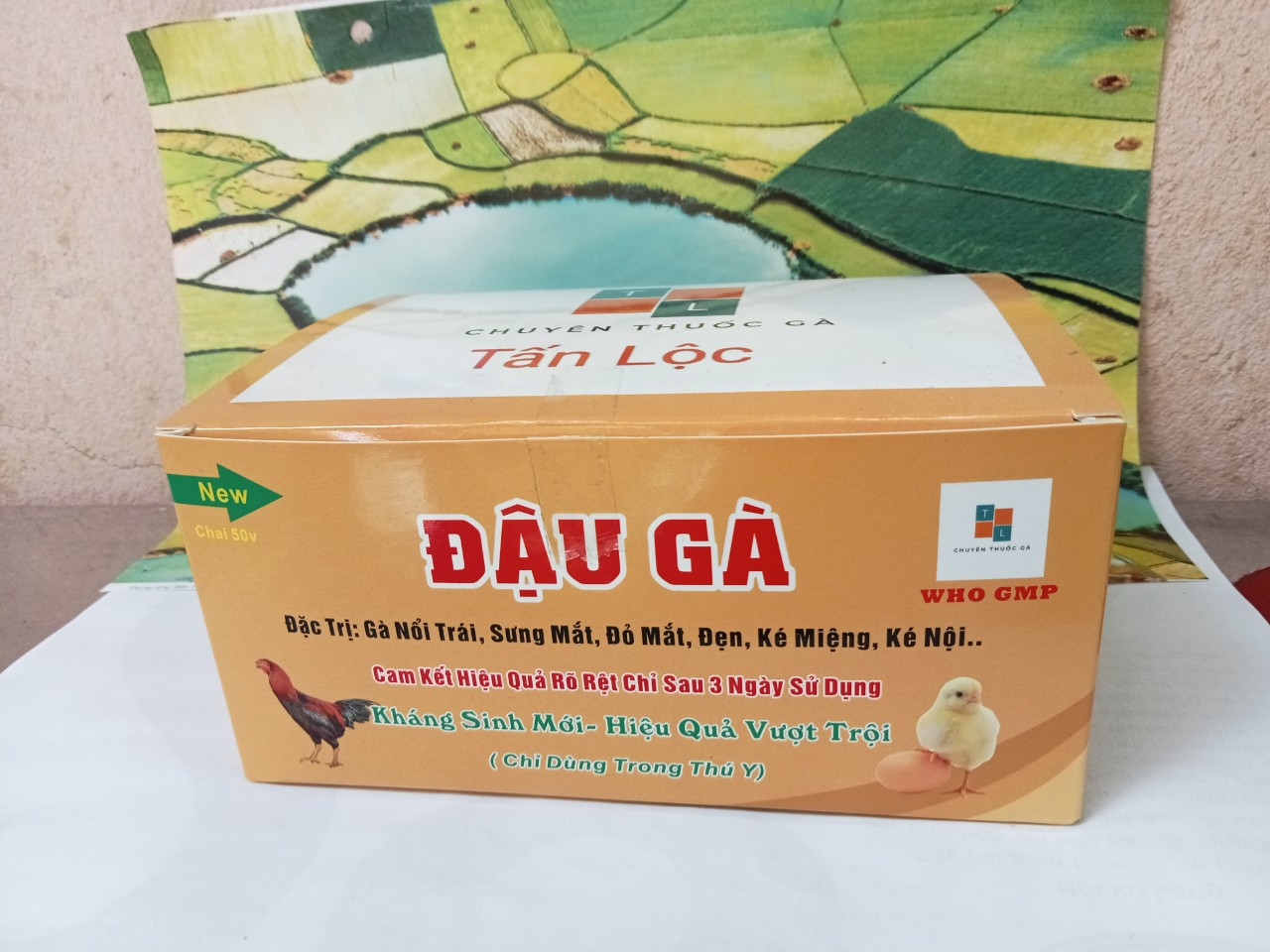 Combo 3 Lọ Đậu