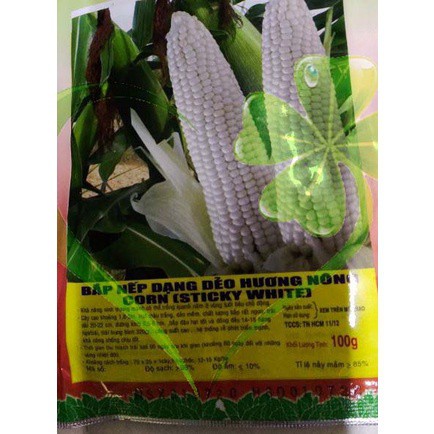 Hạt giống bắp nếp trắng dẻo - gói 100 gram