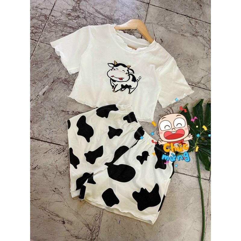 Set áo thun hình con bò quần họa tiết bò sữa chất thun đẹp