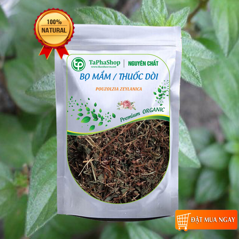 Cây bọ mắm sấy khô 500g cao cấp