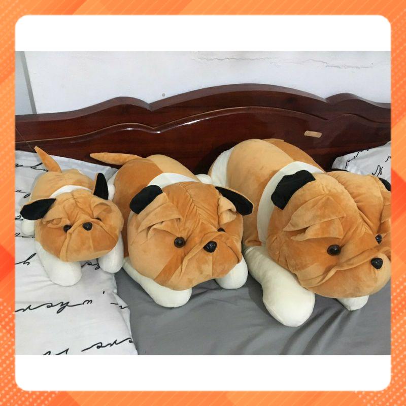 Gấu bông chó PIGBUL mặt xệ đáng yêu