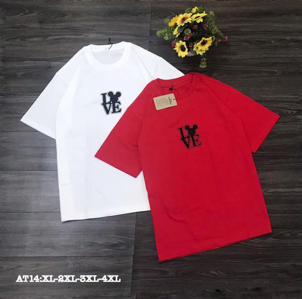 [HCM]ÁO THUN COTTON NỮ THIÊU LOVE SIÊU XINH