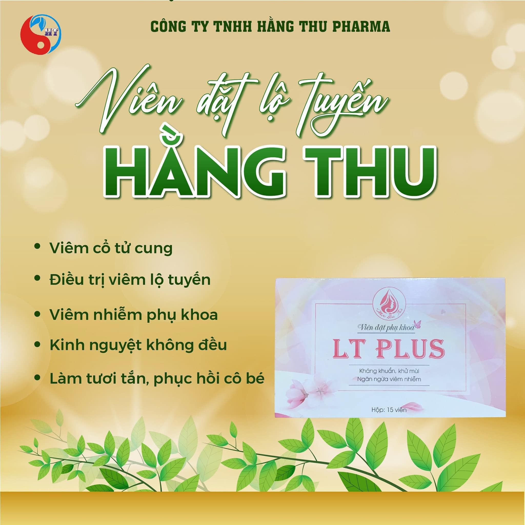Viên Đặt Viêm Lộ Tuyến Hằng Thu