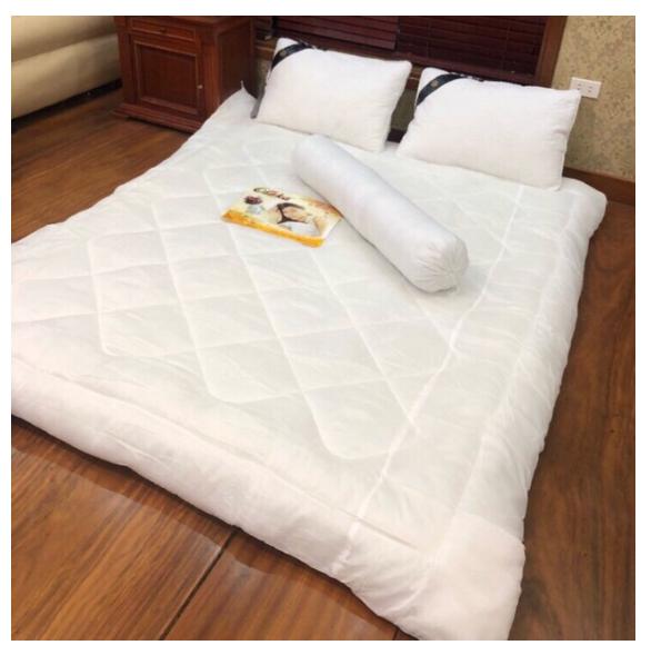 Ruột Chăn Đông (2MX2M2)