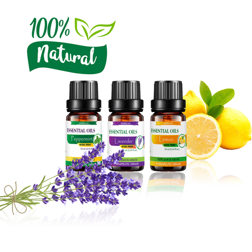 Tinh dầu tràm trà 10ml
