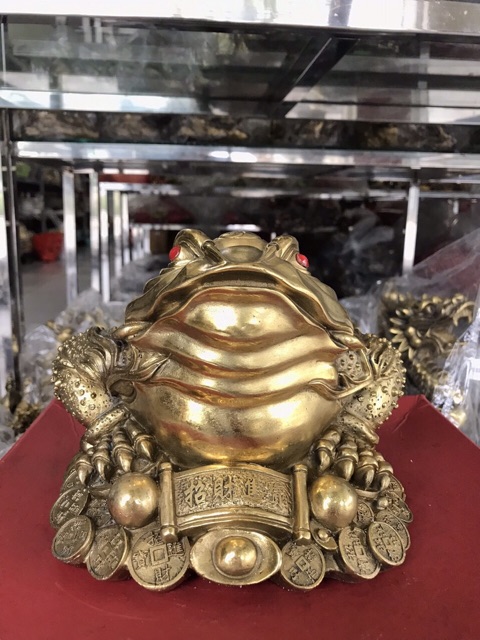 Thiềm thừ cuốn thư