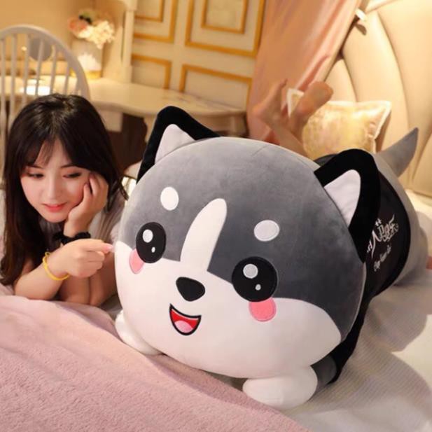 [HCM]gấu bông mèo ôm Hàn Quốc