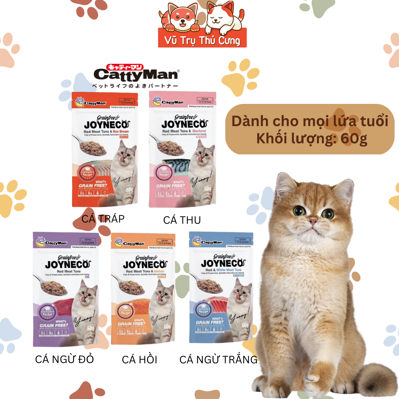Pate Catty Man Joyneco cho Mèo gói 60g