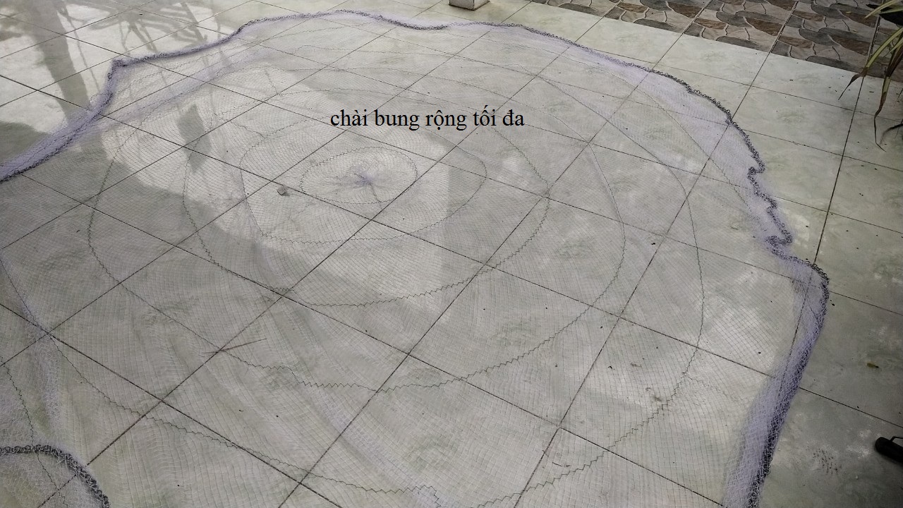 chai danh ca