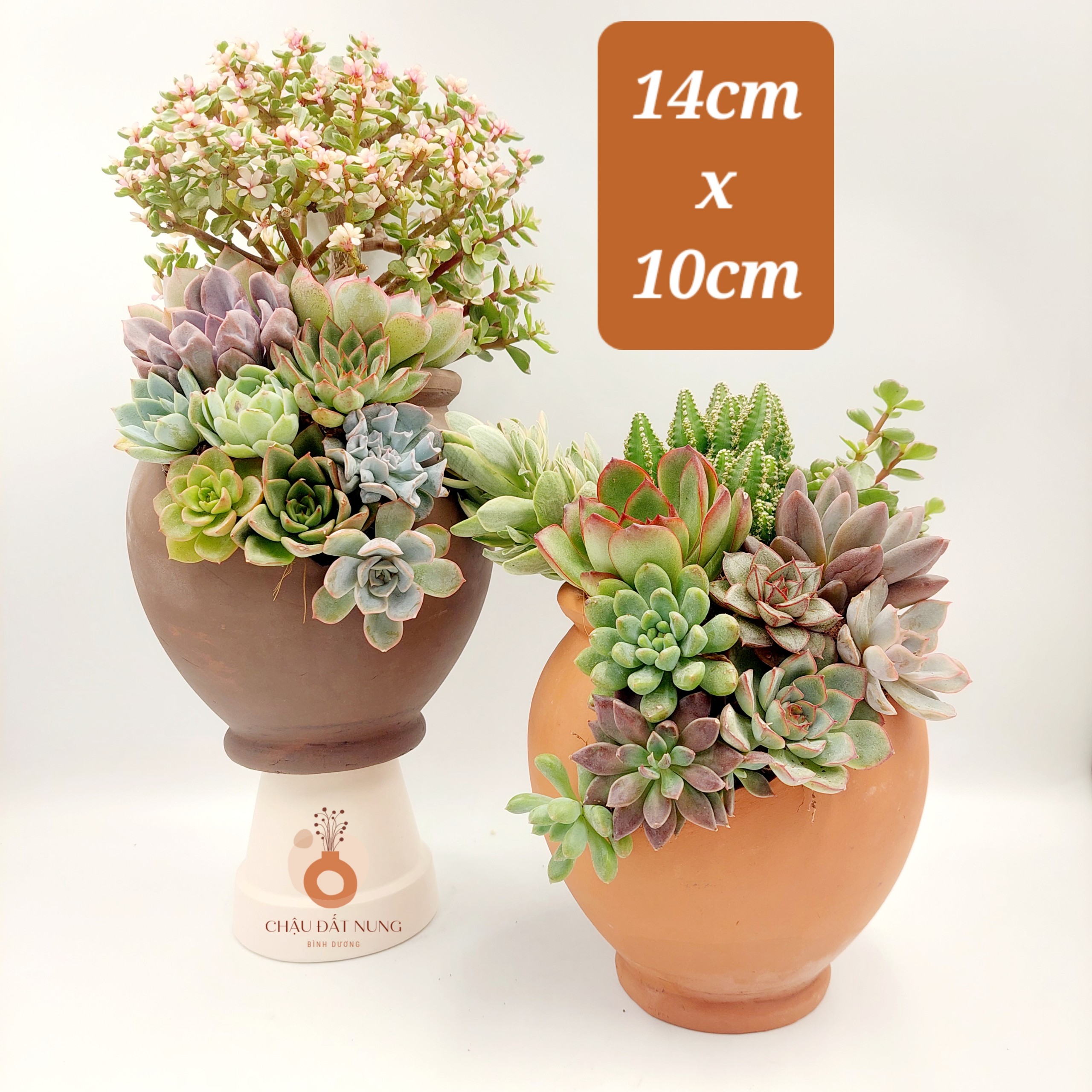 Chậu đất nung - Bình hoa 825, miệng chậu 8cm, chiều cao 25cm
