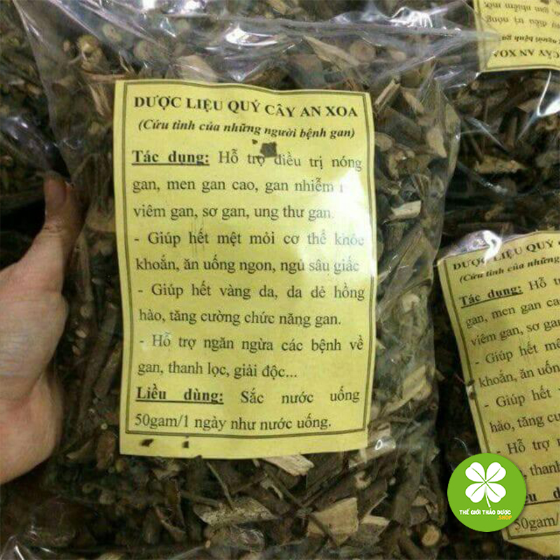 Com bo 3kg Cây an xoa chất lượng cao DTX009