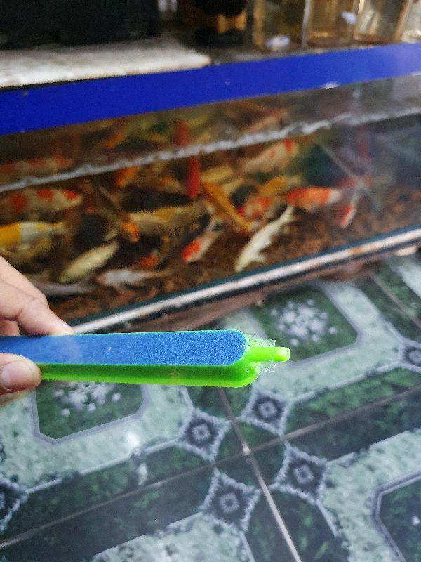 "Hoàn tiền đến 10%" THANH SỦI OXY BỌT DÀI 40CM