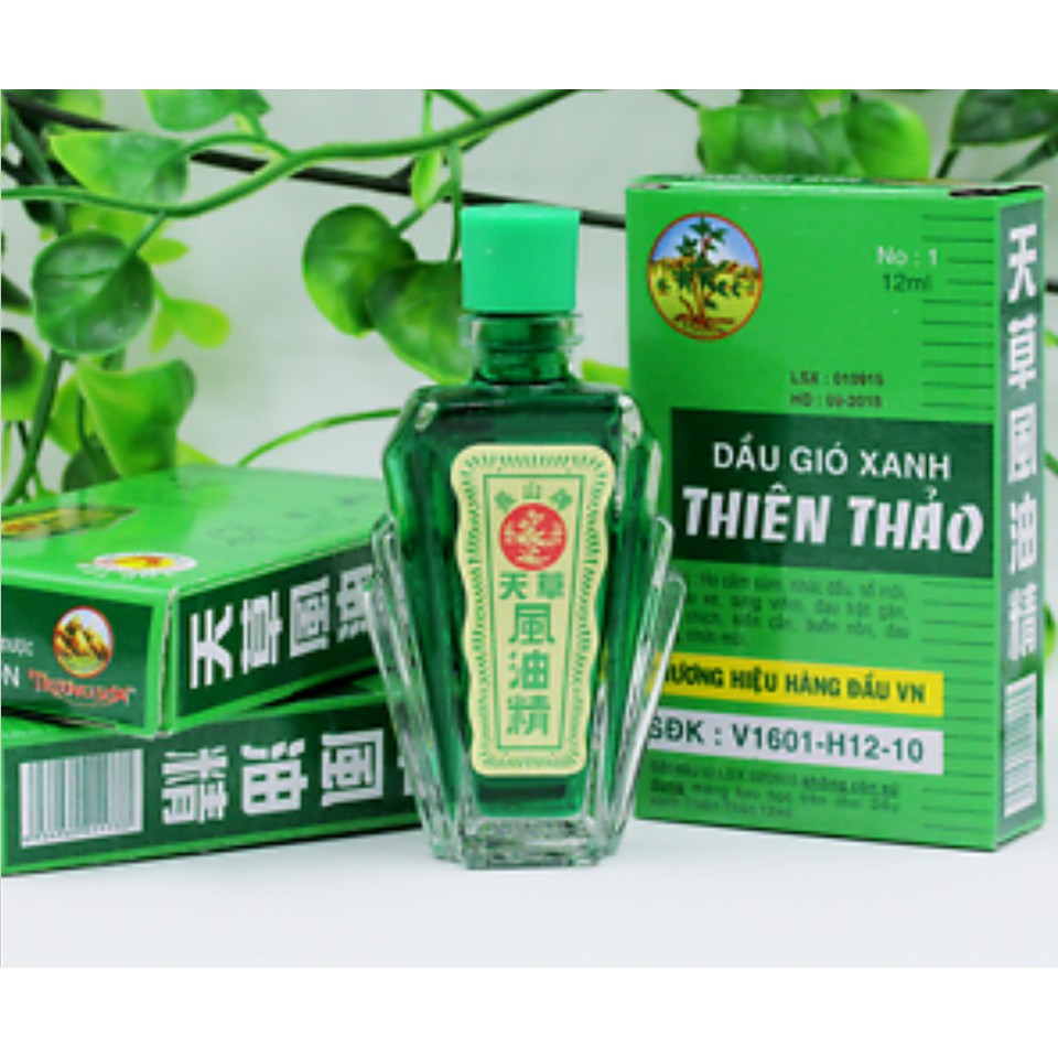 Dầu gió xanh Thiên Thảo