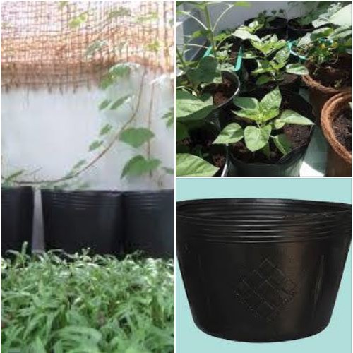 Chậu nhựa mềm đen C12 (33x27cm) chậu nhựa dẻo, nhẹ, bền, chậu trồng cây giá rẻ (Vườn Sài Gòn )