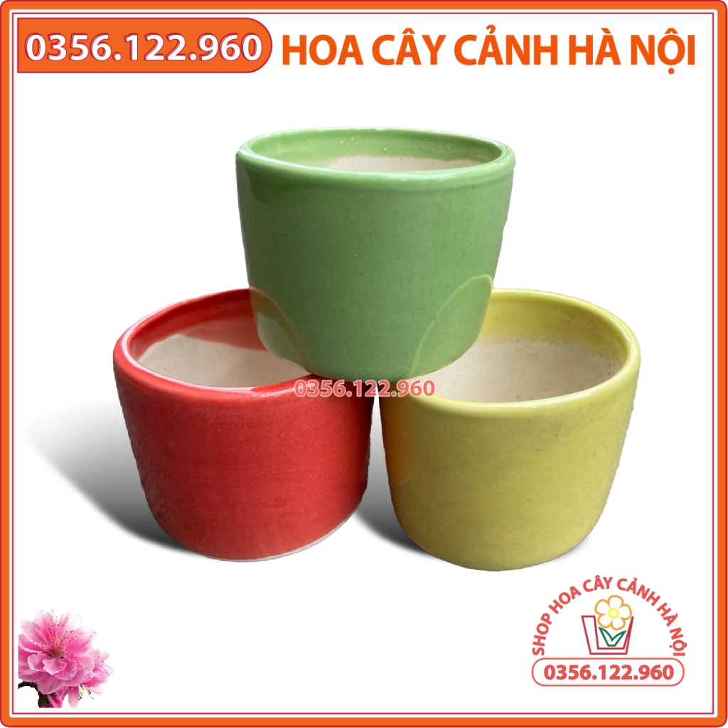 Chậu sứ bát tràng miệng tròn 10cm nhiều màu lựa chọn, giao màu ngẫu nhiên