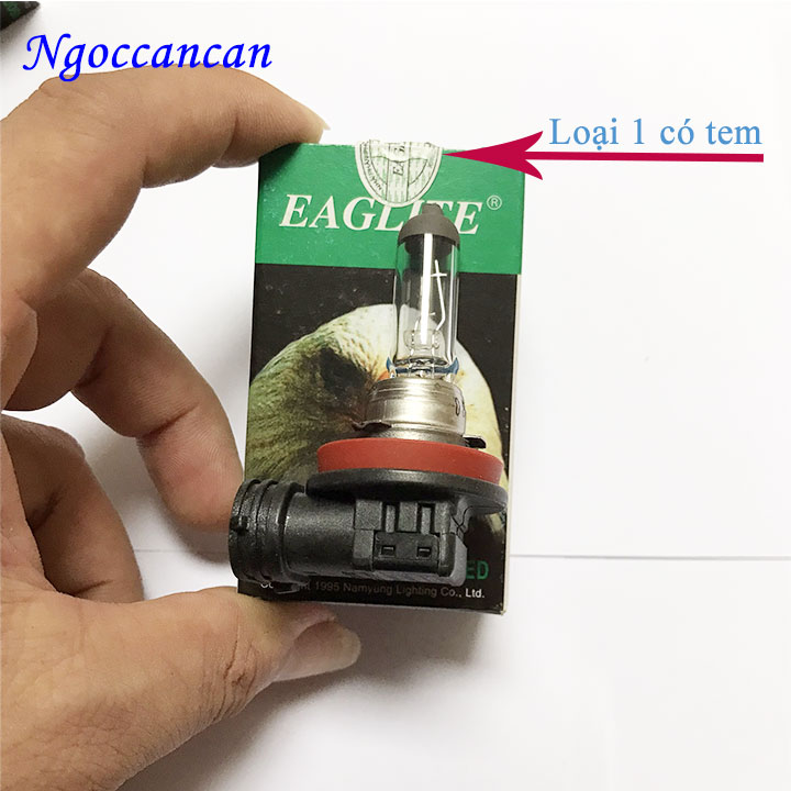 Bóng đèn Halogen con cú H8 12V 35W Eagleye loại 1