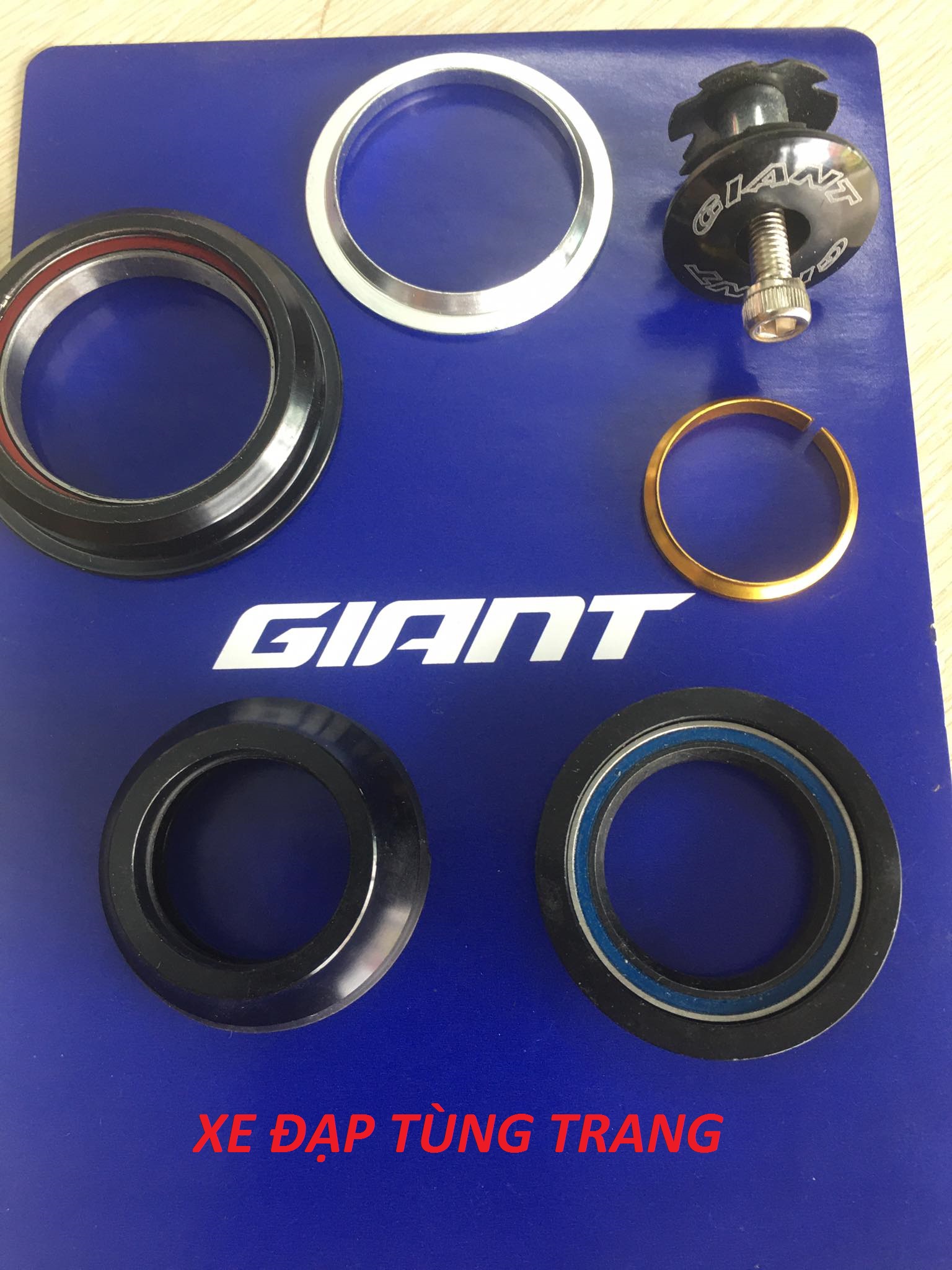 Bát chén xe đạp cổ thả Bạc Đạn GIANT 44mm/55mm .