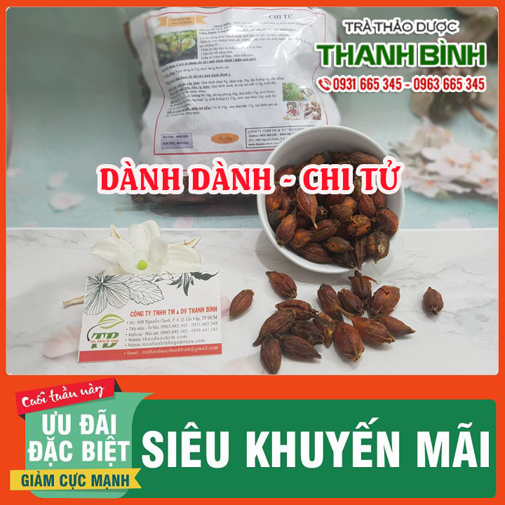 Quả Dành Dành ( Chi Tử ) Khô 100G Hàng Cty - Đông Y Thanh Bình
