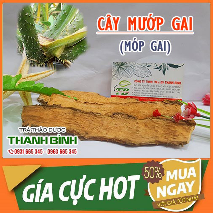 Cây Mướp Gai (Cây Móp Gai) Khô 500G Hàng Cty - Dược Liệu Thanh Bình