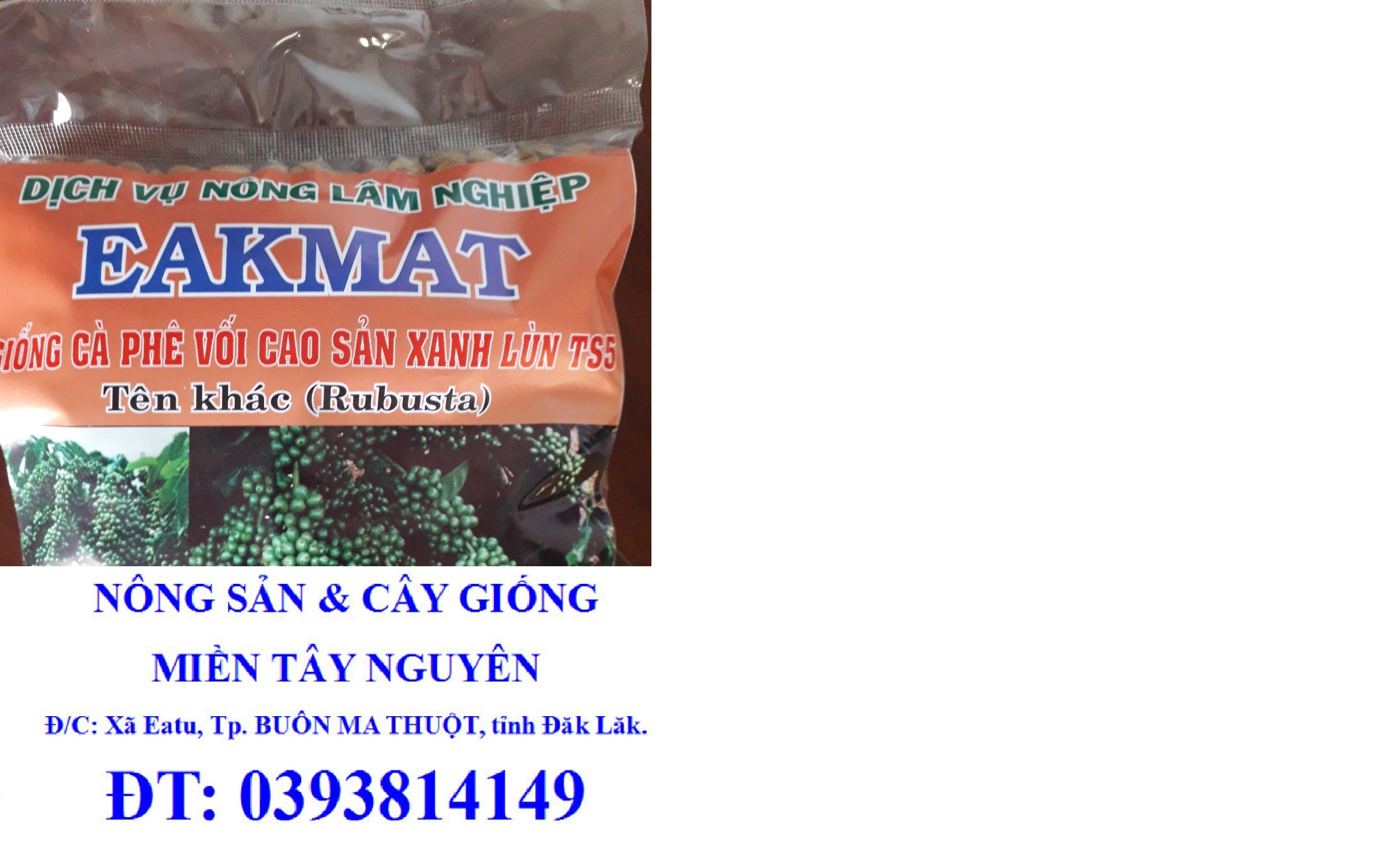 200 gram hạt giống cây cà phê xanh lùn hạt tuyển chọn bao nảy mầm