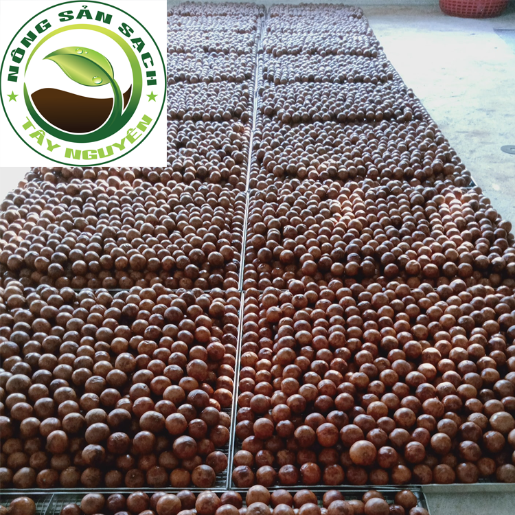 [HCM]500G Hạt mắc ca nứt vỏ - Hạt macca đắk lắk - Hạt macca (tặng kèm dụng cụ tách vỏ)