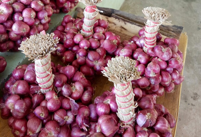 Hành Tím Lý Sơn (1kg)