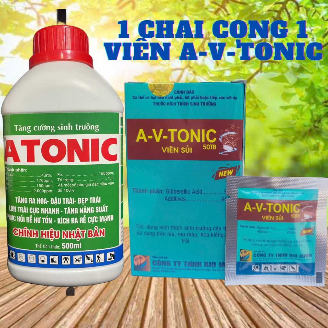 Atonic 500ml Powerful Root Stimulator Buy 1 Get 1 Free A-V-Tonic Effort Pills
