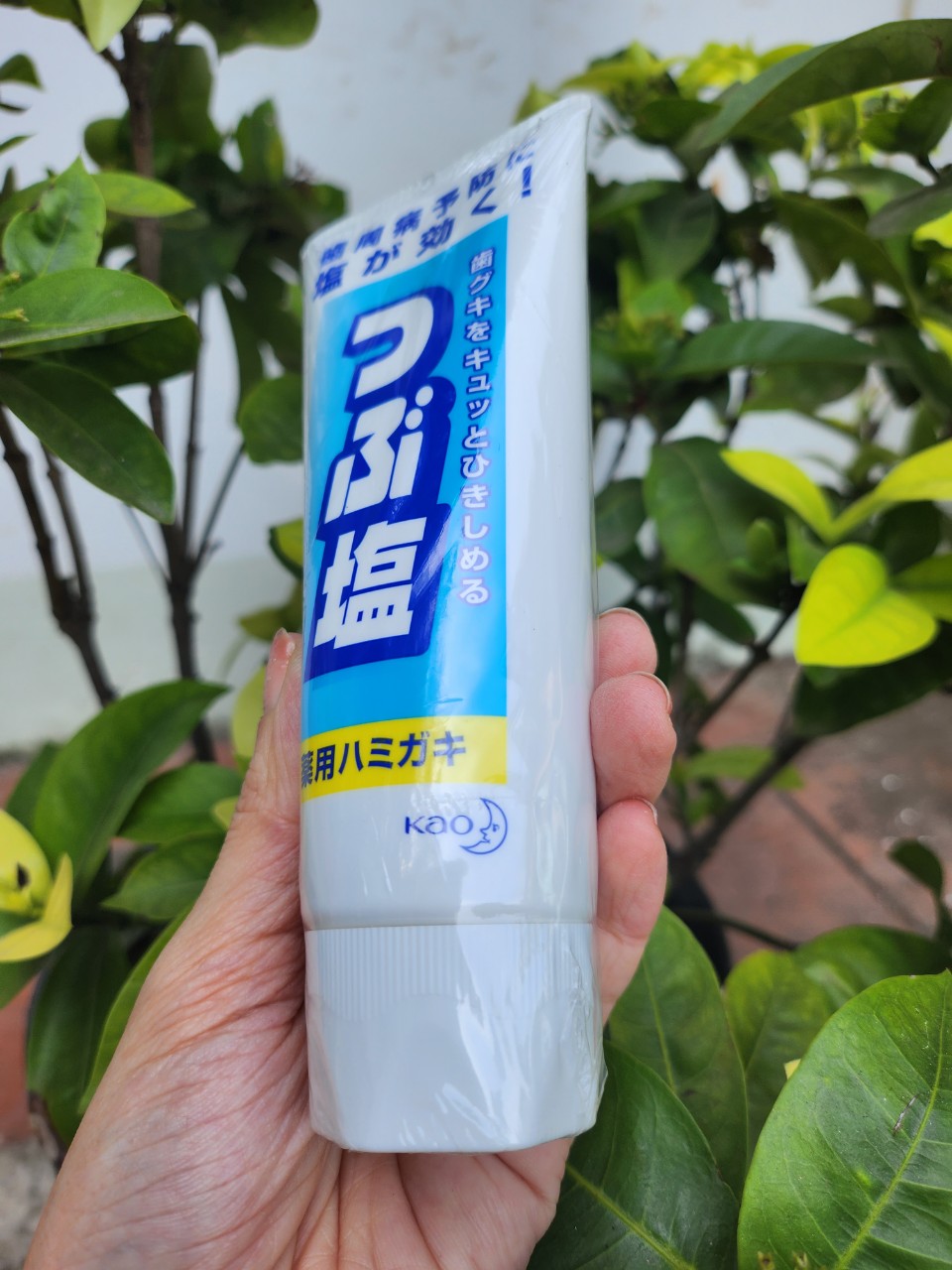 Kem đánh răng muối Kao