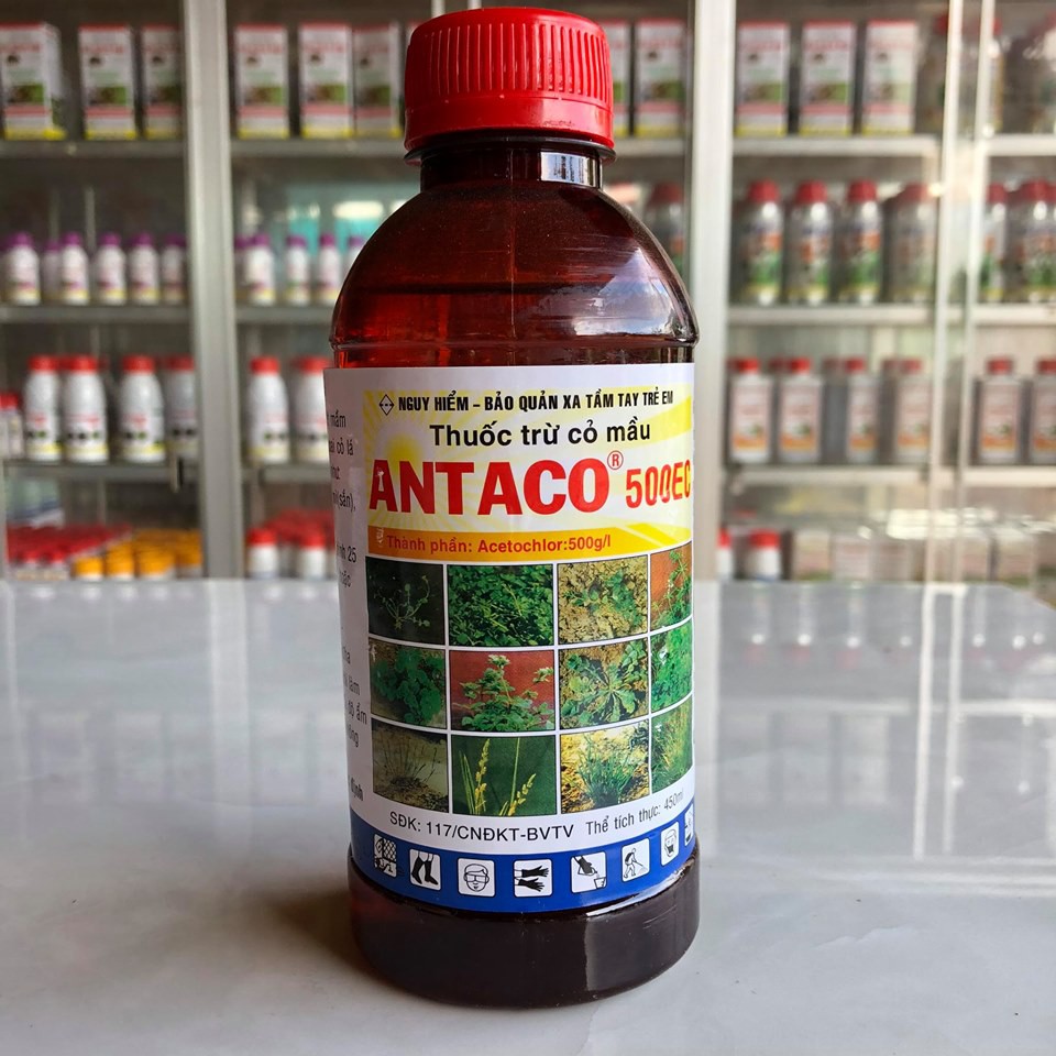 [Chính hãng] Thuốc Trừ Cỏ Mầu - Antaco 500EC - Chai 450ml