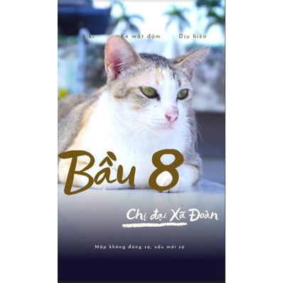 Kẹo Dẻo cá Sấu Catsky 300g