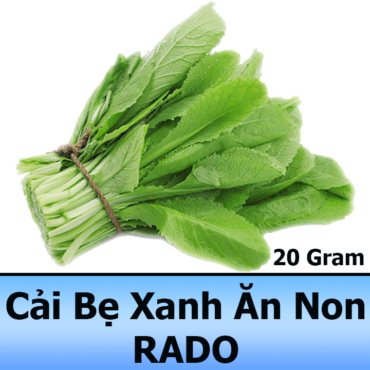 Hạt giống cải bẹ xanh ăn non 20gr