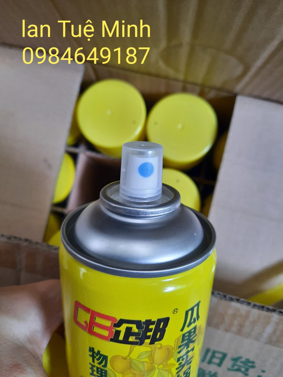 BÌNH XỊT BẪY RUỒI VÀNG, CÔN TRÙNG