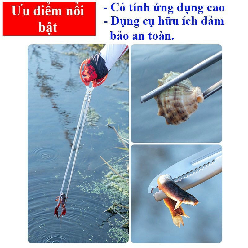 Kẹp bắt lươn cua cá hải sản