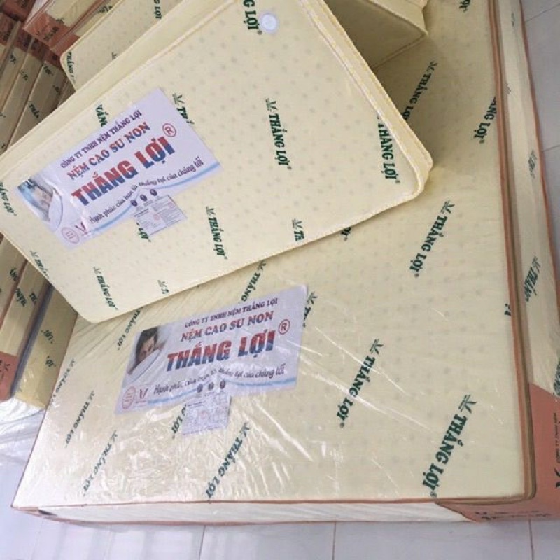 Nệm cao su non thắng lợi gấp 3 dày 10 Phân
