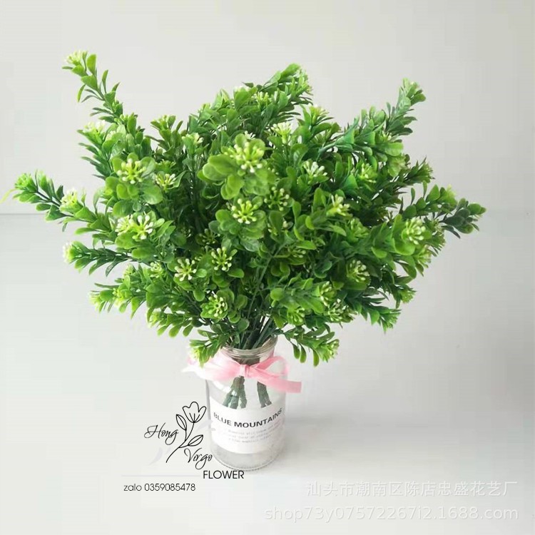 Cụm cỏ ngâu cắm điểm