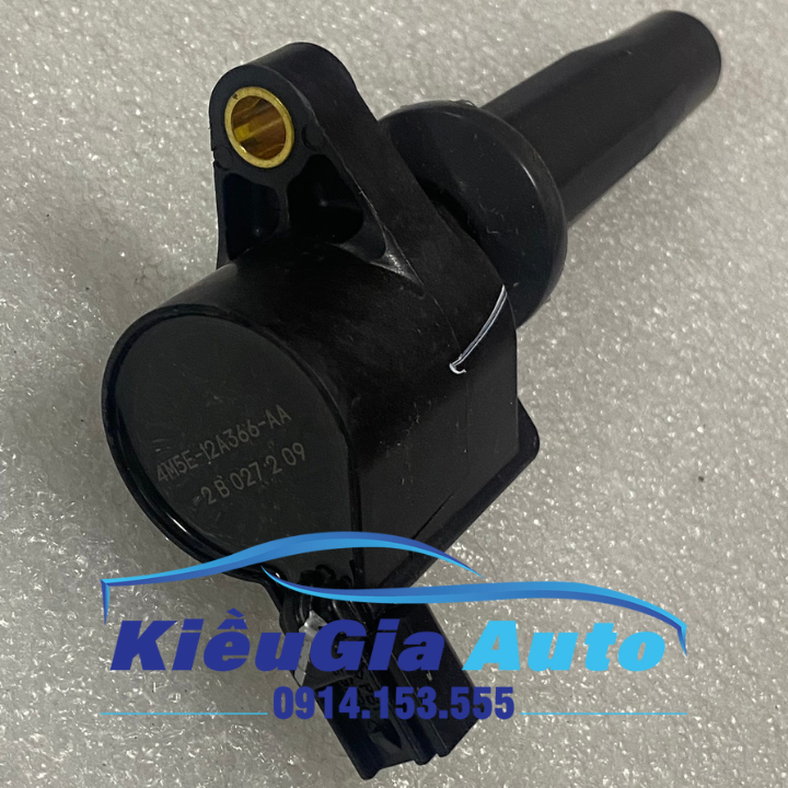 Mô bin (Bô bin) Ford Focus 1.8 2.0 2006-2019 Chính hang