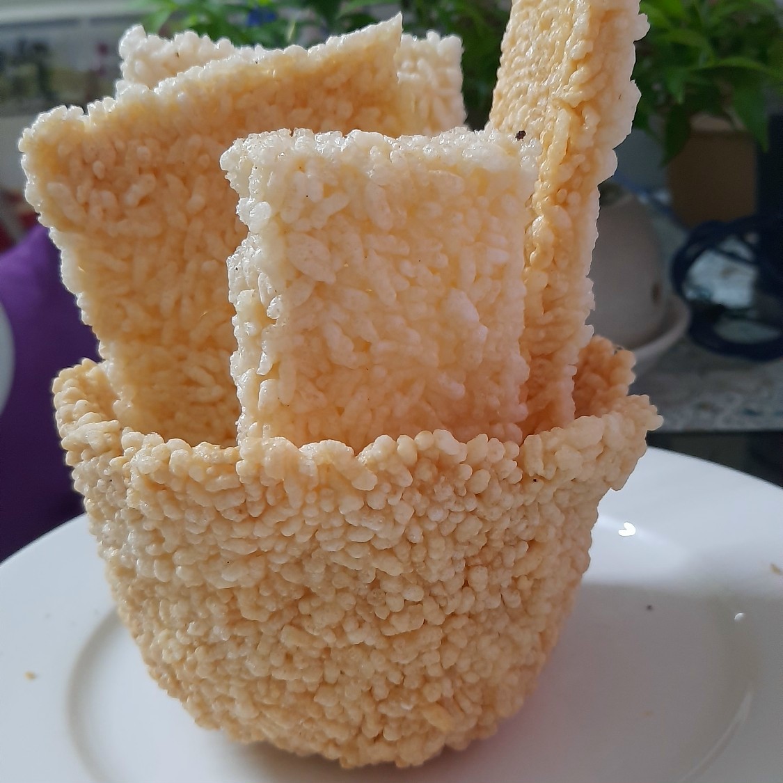 CƠM CHÁY CHƯA CHIÊN ĐẶC SẢN TỪ VUA GẠO ST