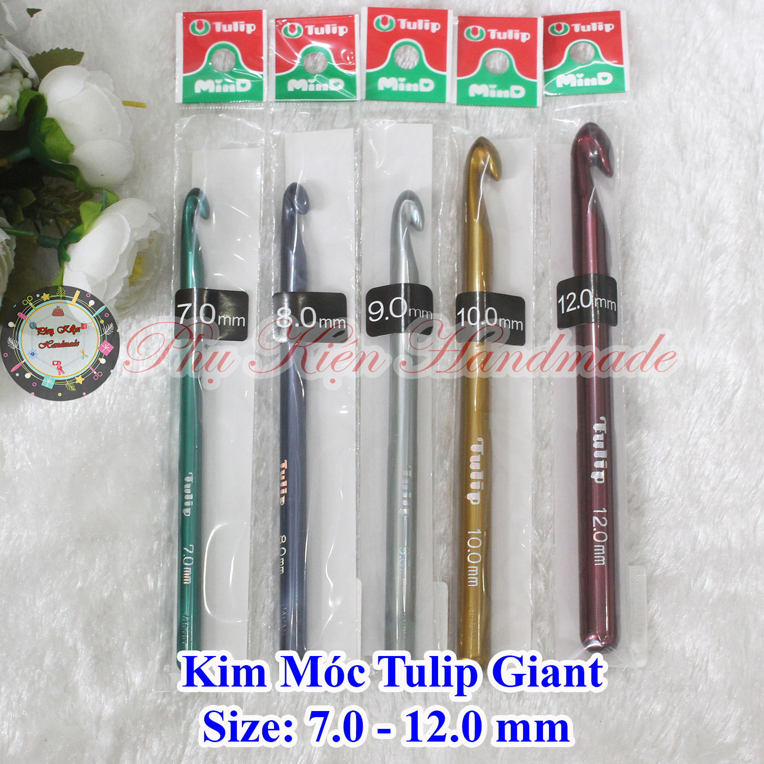 Kim móc tulip Giant