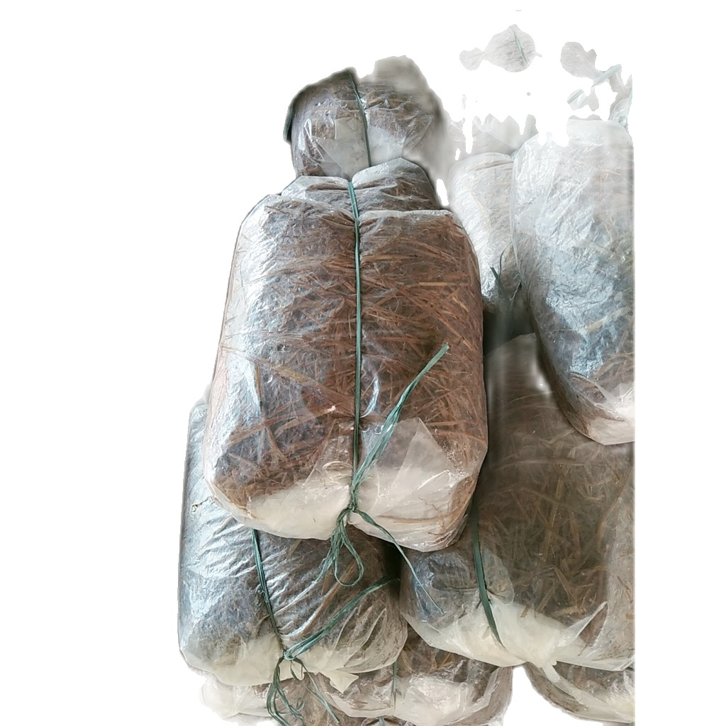 Meo giống nấm rơm (300gr)