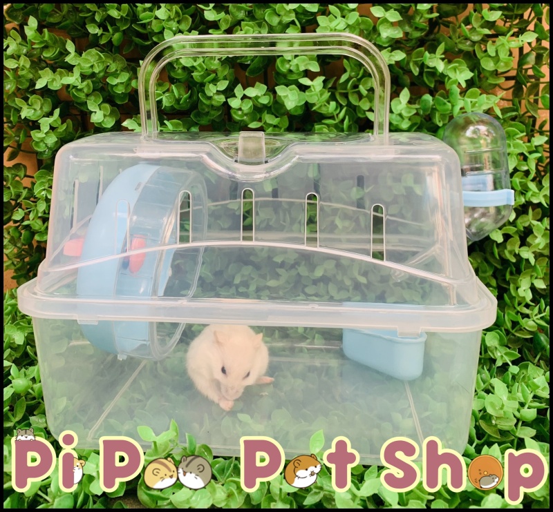 Lồng thủy tinh cho Hamster