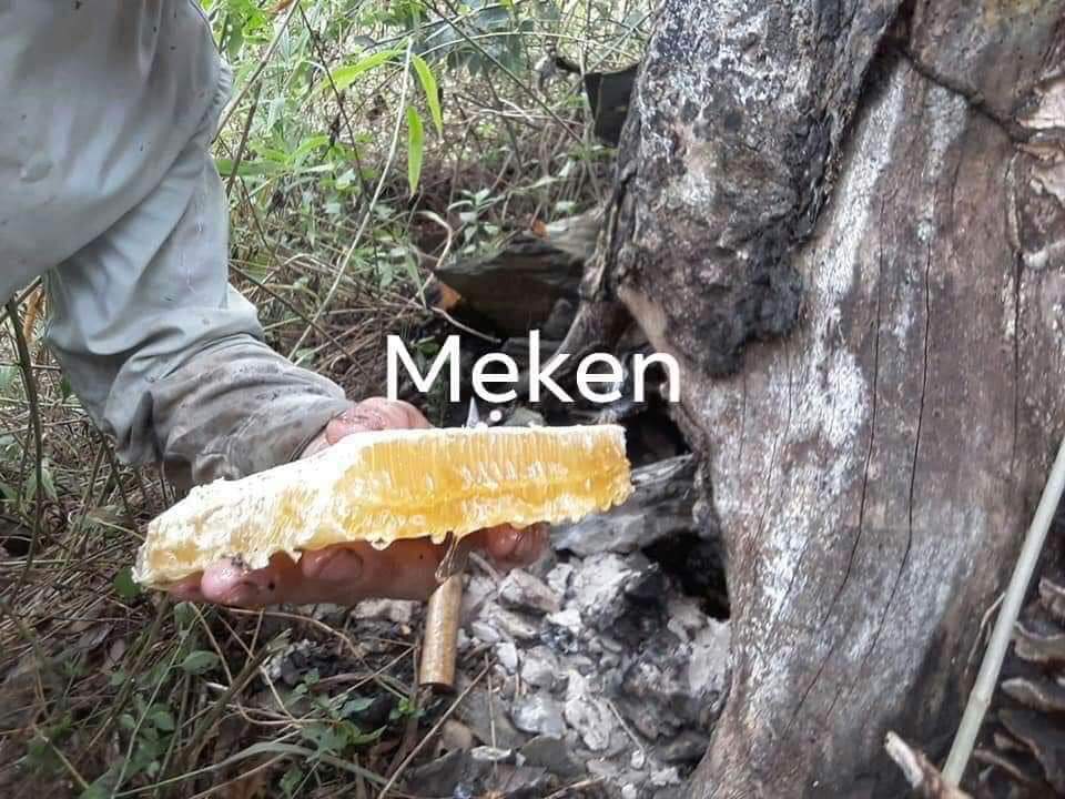 MẬT ONG RỪNG NGUYÊN CHẤT MẸ KEN- 1 LÍT