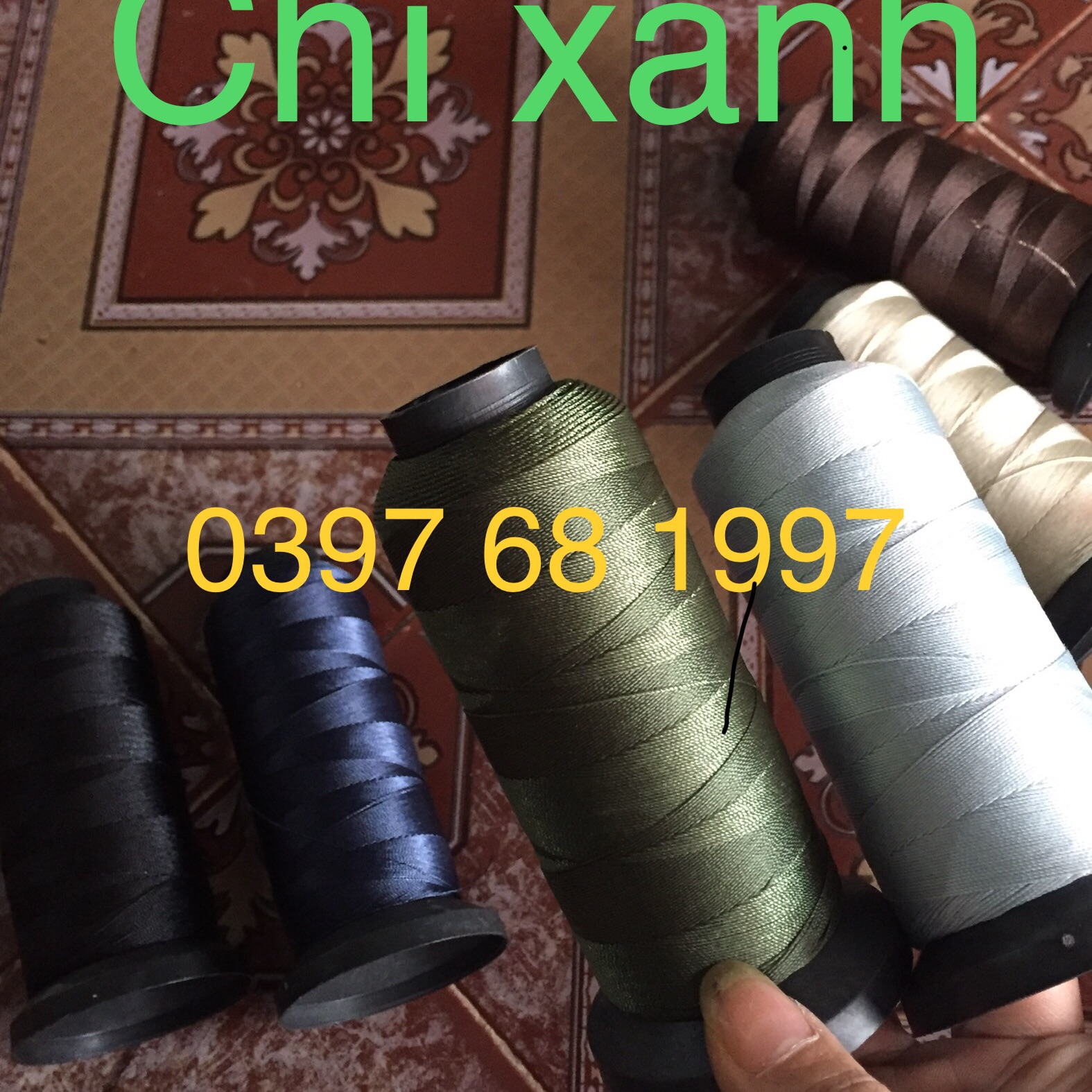 Chỉ đan lưới lồng bẫy chim chào mào ( choè than)