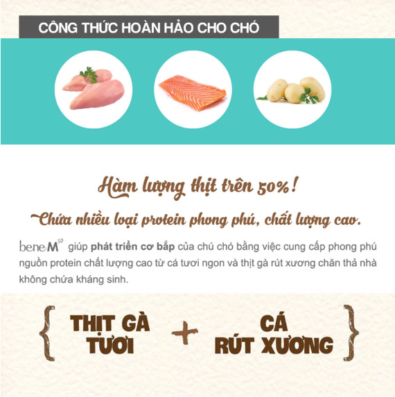 10KG Thức ăn hạt cho chó Natural Core Bene M50