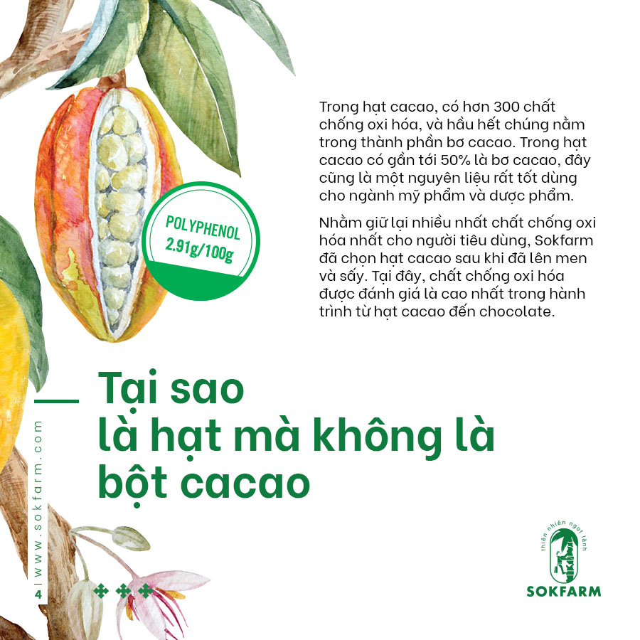 Hạt cacao & mật hoa dừa (Sokfarm) - 75g