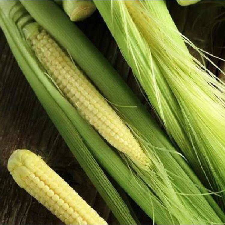 Hạt Giống Ngô Bao Tử - 1 gói 30 hạt