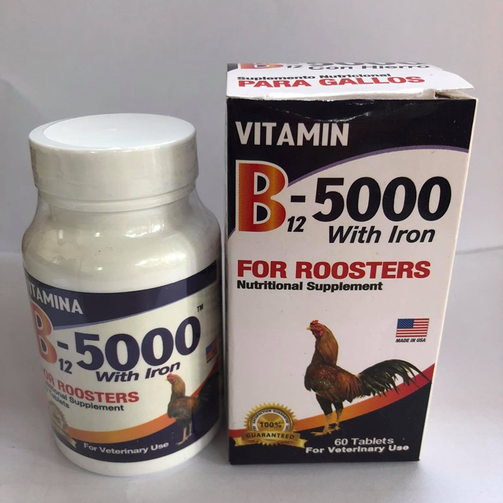 [HCM]B12 5000 GIUP GÀ LEN NUOC MAU - HỦ 60 VIÊN