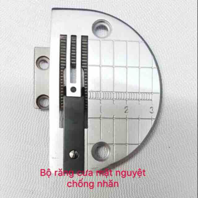 Bộ răng cưa mặt nguyệt chống nhăn