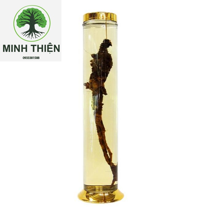 [HCM]BÌNH NGÂM SÂM 2.8 LÍT |BÌNH NGÂM RƯƠU | KEO RƯƠU